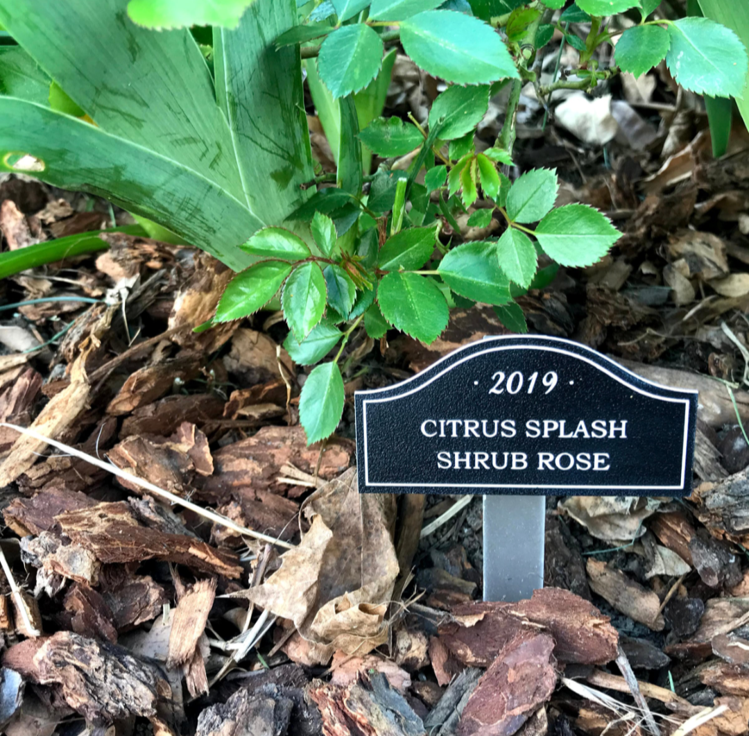 Smart Plant-Care Stakes