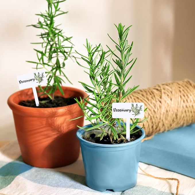 24 Acrylic Herb Signs With Plant Examples