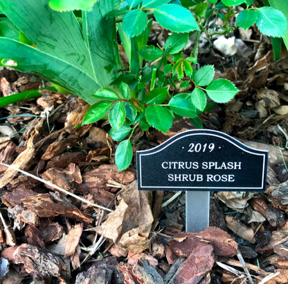 Smart Plant-Care Stakes