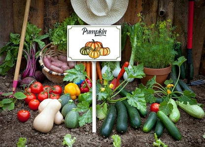 Aluminum 8x12inch Garden Signs