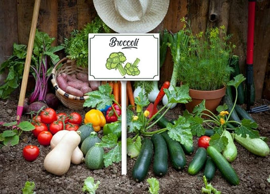 Aluminum 8x12inch Garden Signs
