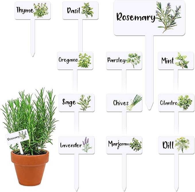24 Acrylic Herb Signs With Plant Examples
