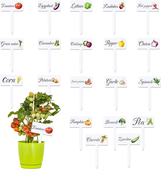 20 Acrylic Veggie Signs With Examples