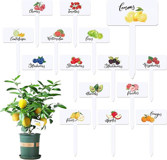 30 Pcs Acrylic Fruit Plant Labels