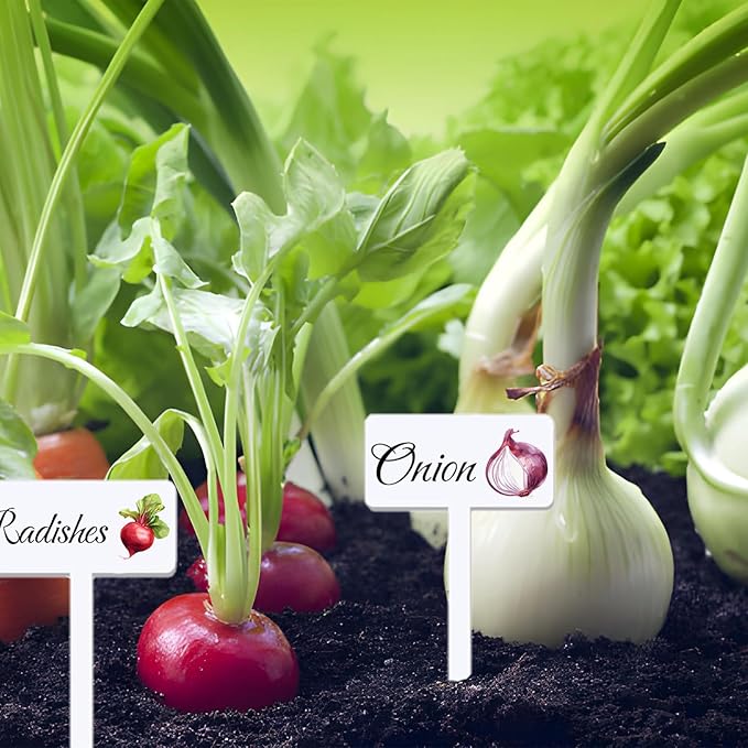 20 Acrylic Veggie Signs With Examples