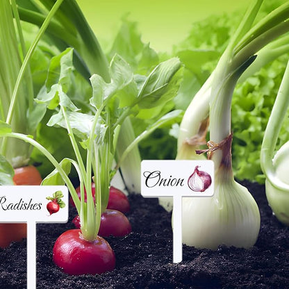 20 Acrylic Veggie Signs With Examples